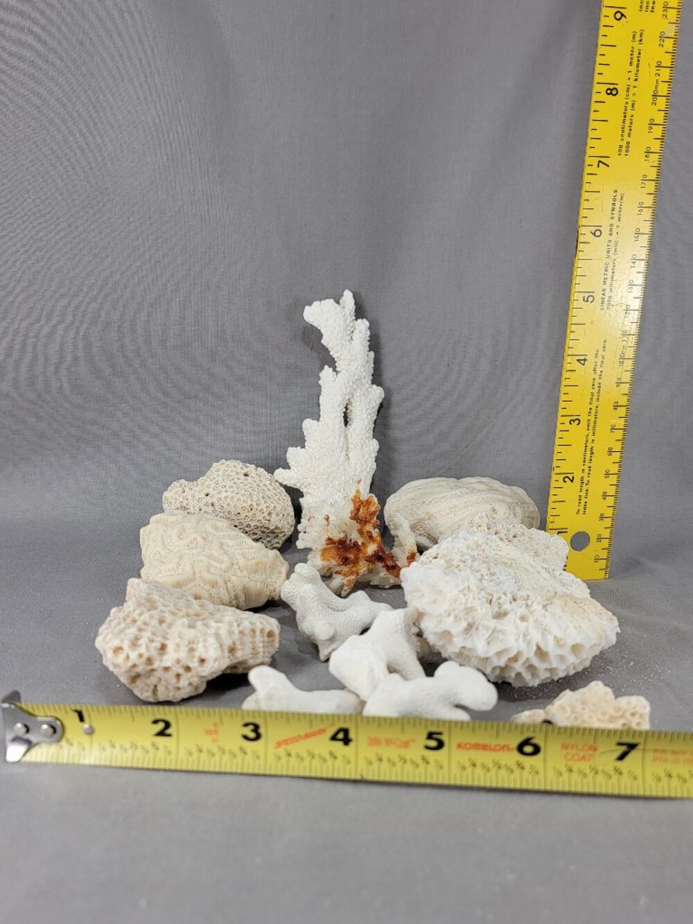 Vtg Natural Sea Coral Mixed Lot Dried Branch Cluster Brain Nautical Decor - Picture 7 of 7